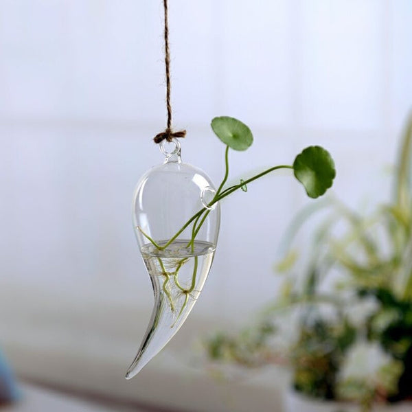 HANGING GLASS VASE