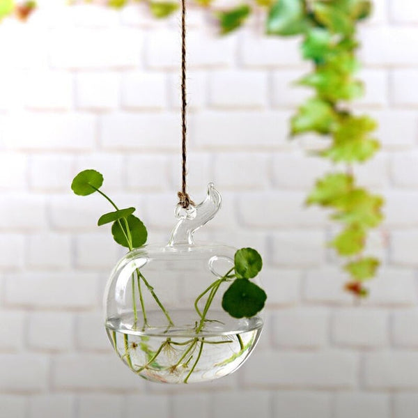 HANGING GLASS VASE