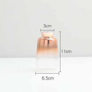 EUROPEAN TRANSPARENT VASE