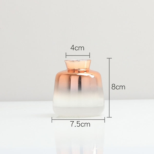 EUROPEAN TRANSPARENT VASE