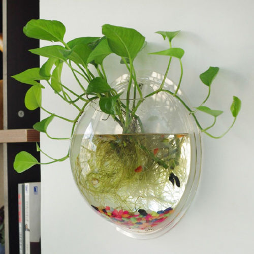 AQUARIUM VASE