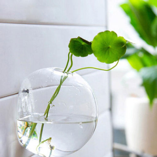 AQUARIUM VASE